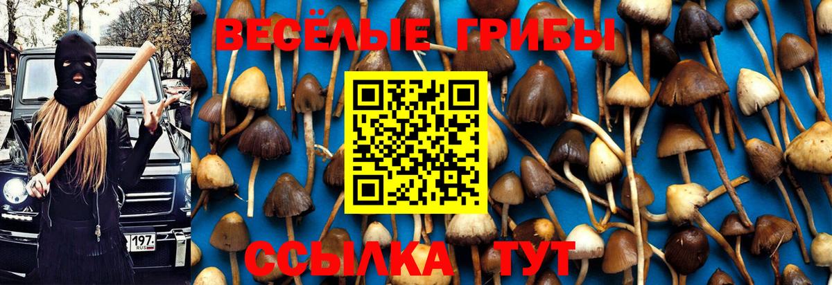 Галлюциногенные грибы MAGIC MUSHROOMS Нижний Новгород