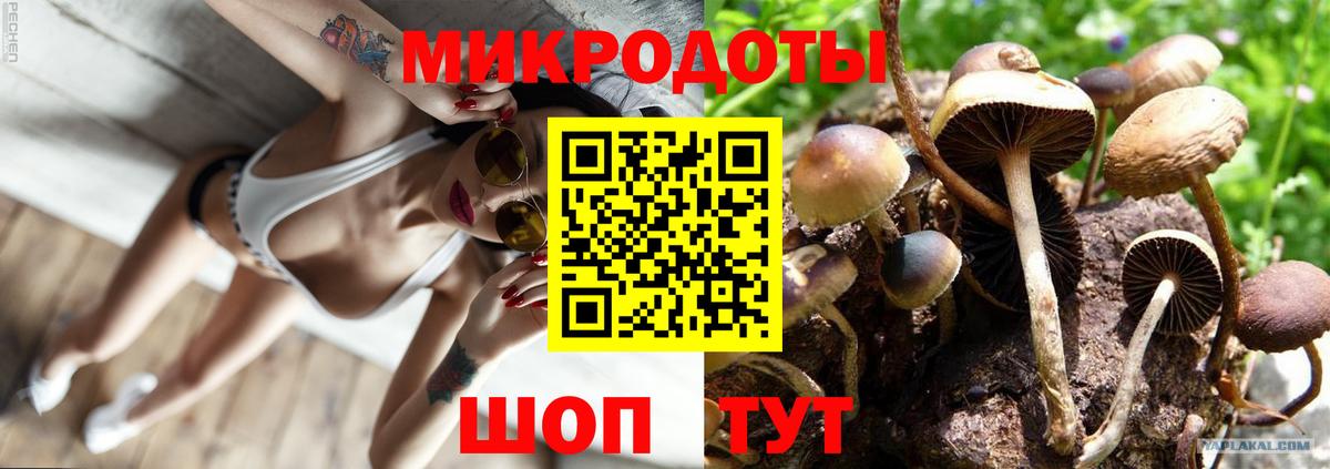 Галлюциногенные грибы ЛСД  Вход с VPN  Нижний Новгород 